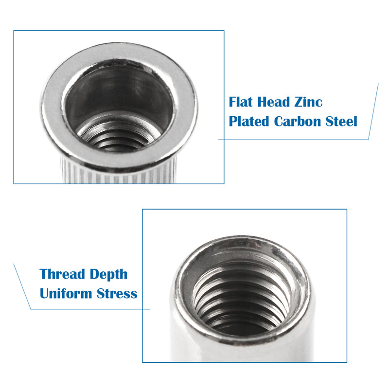 100/150/180pcs Stainless steel - Cam Lock Nut 리뷰 및 가격